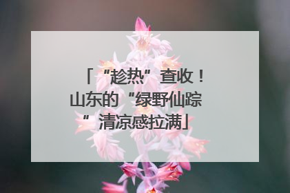 “趁热”查收！山东的“绿野仙踪”清凉感拉满