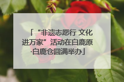 “非遗志愿行 文化进万家”活动在白鹿原·白鹿仓圆满举办