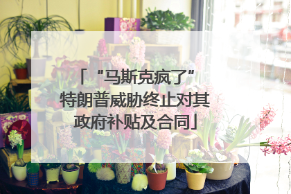 “马斯克疯了” 特朗普威胁终止对其政府补贴及合同