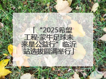 “2025希望工程·蒙牛足球未来星公益行”临沂站选拔圆满举行