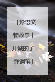 珍贵文物故事丨开诚的子弹钢笔