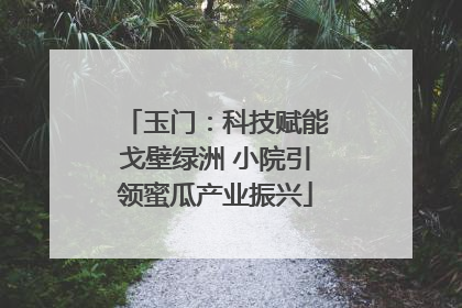 玉门：科技赋能戈壁绿洲 小院引领蜜瓜产业振兴