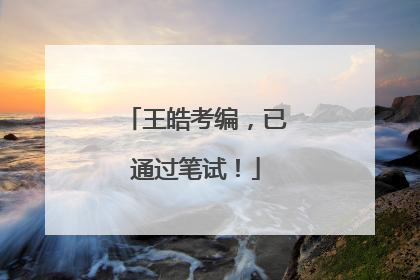 王皓考编，已通过笔试！