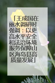 王成国在丽水调研时强调：以更高水平安全和法治环境服务保障山区海岛县高质量发展
