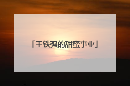 王铁强的甜蜜事业