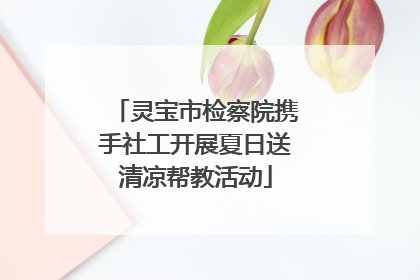 灵宝市检察院携手社工开展夏日送清凉帮教活动