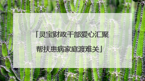 灵宝财政干部爱心汇聚 帮扶患病家庭渡难关