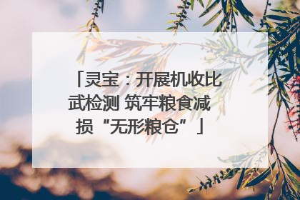 灵宝：开展机收比武检测 筑牢粮食减损“无形粮仓”