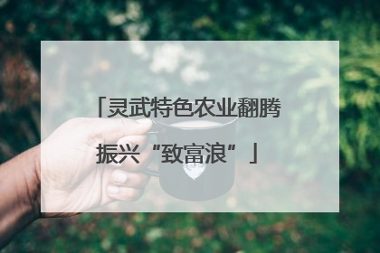 灵武特色农业翻腾振兴“致富浪”
