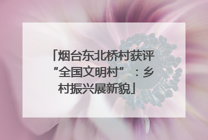 烟台东北桥村获评“全国文明村”：乡村振兴展新貌