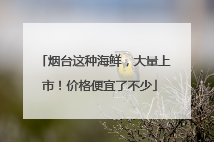 烟台这种海鲜，大量上市！价格便宜了不少