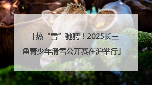 热“雪”驰骋！2025长三角青少年滑雪公开赛在沪举行