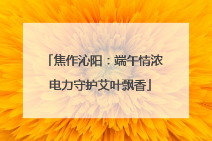 焦作沁阳：端午情浓 电力守护艾叶飘香