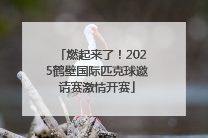 燃起来了！2025鹤壁国际匹克球邀请赛激情开赛