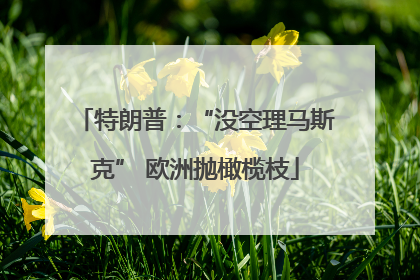 特朗普：“没空理马斯克” 欧洲抛橄榄枝