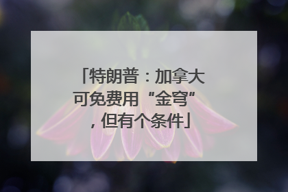 特朗普：加拿大可免费用“金穹”，但有个条件