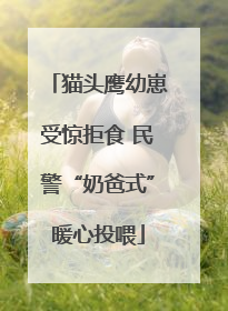 猫头鹰幼崽受惊拒食 民警“奶爸式”暖心投喂