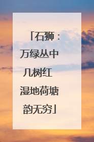 石狮：万绿丛中几树红 湿地荷塘韵无穷