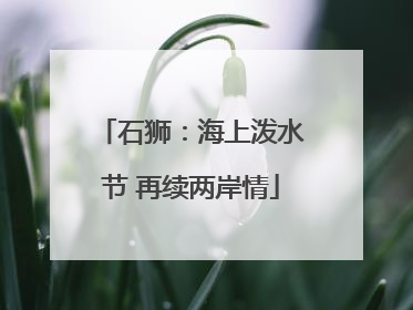 石狮：海上泼水节 再续两岸情