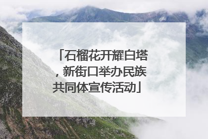 石榴花开耀白塔，新街口举办民族共同体宣传活动