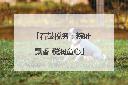 石鼓税务：粽叶飘香 税润童心