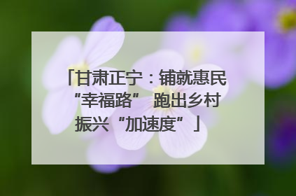 甘肃正宁：铺就惠民“幸福路” 跑出乡村振兴“加速度”