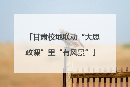 甘肃校地联动“大思政课”里“有风景”