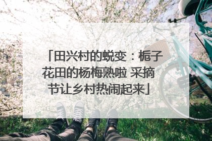 田兴村的蜕变：栀子花田的杨梅熟啦 采摘节让乡村热闹起来
