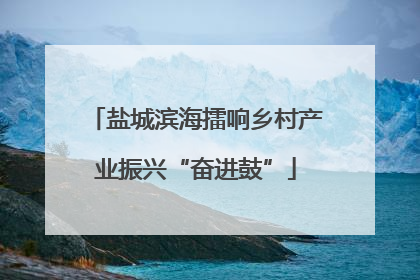 盐城滨海擂响乡村产业振兴“奋进鼓”