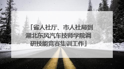 省人社厅、市人社局到湖北东风汽车技师学院调研技能竞赛集训工作