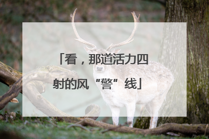 看，那道活力四射的风“警”线