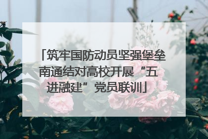 筑牢国防动员坚强堡垒 南通结对高校开展“五进融建”党员联训