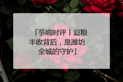 筝鸣时评丨夏粮丰收背后，是潍坊全城的守护