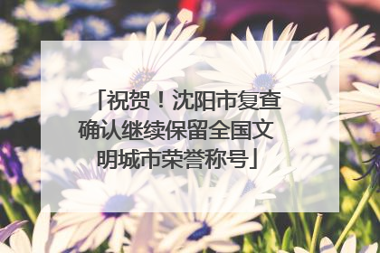 祝贺！沈阳市复查确认继续保留全国文明城市荣誉称号