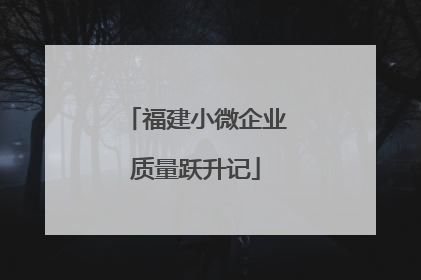 福建小微企业质量跃升记