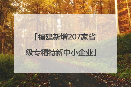 福建新增207家省级专精特新中小企业