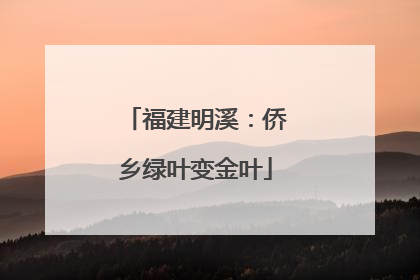 福建明溪：侨乡绿叶变金叶