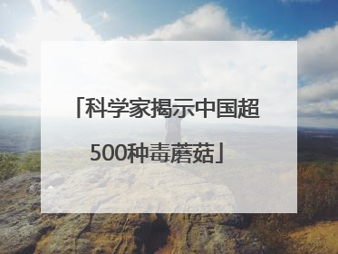 科学家揭示中国超500种毒蘑菇