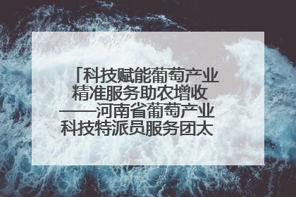 科技赋能葡萄产业 精准服务助农增收——河南省葡萄产业科技特派员服务团太康县科技服务纪实