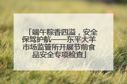 端午粽香四溢，安全保驾护航——东平大羊市场监管所开展节前食品安全专项检查