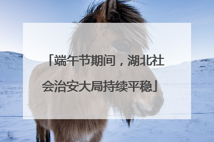 端午节期间，湖北社会治安大局持续平稳