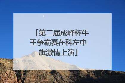 第二届成峰杯牛王争霸赛在科左中旗激情上演