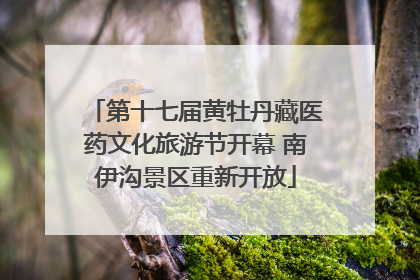 第十七届黄牡丹藏医药文化旅游节开幕 南伊沟景区重新开放