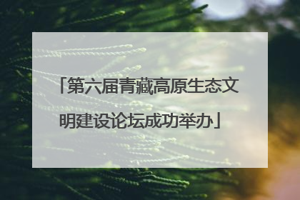 第六届青藏高原生态文明建设论坛成功举办