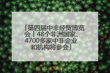 第四届中非经贸博览会丨48个非洲国家、4700多家中非企业和机构将参会