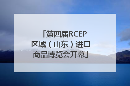 第四届RCEP区域（山东）进口商品博览会开幕