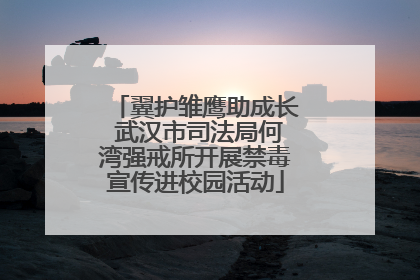 翼护雏鹰助成长 武汉市司法局何湾强戒所开展禁毒宣传进校园活动