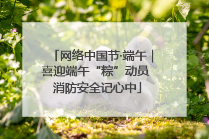 网络中国节·端午｜喜迎端午“粽”动员 消防安全记心中