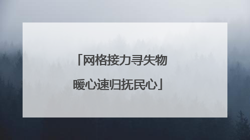 网格接力寻失物 暖心速归抚民心