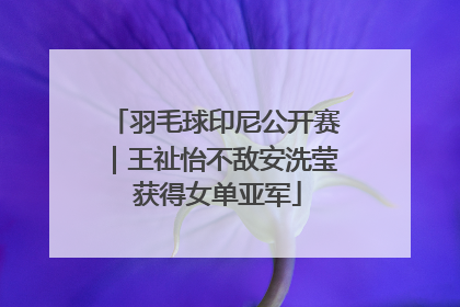 羽毛球印尼公开赛｜王祉怡不敌安洗莹 获得女单亚军